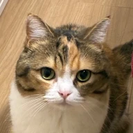 くるくる