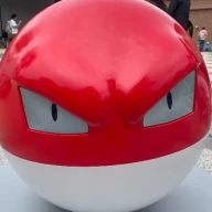 どんぐり