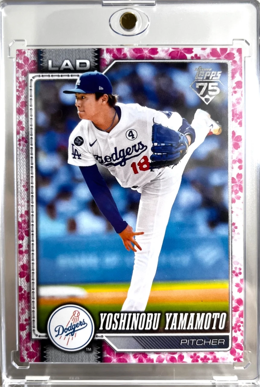 Yoshinobu Yamamoto 桜パラレル