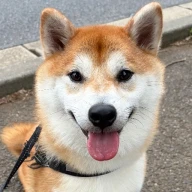 コタロー