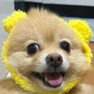 パールくん