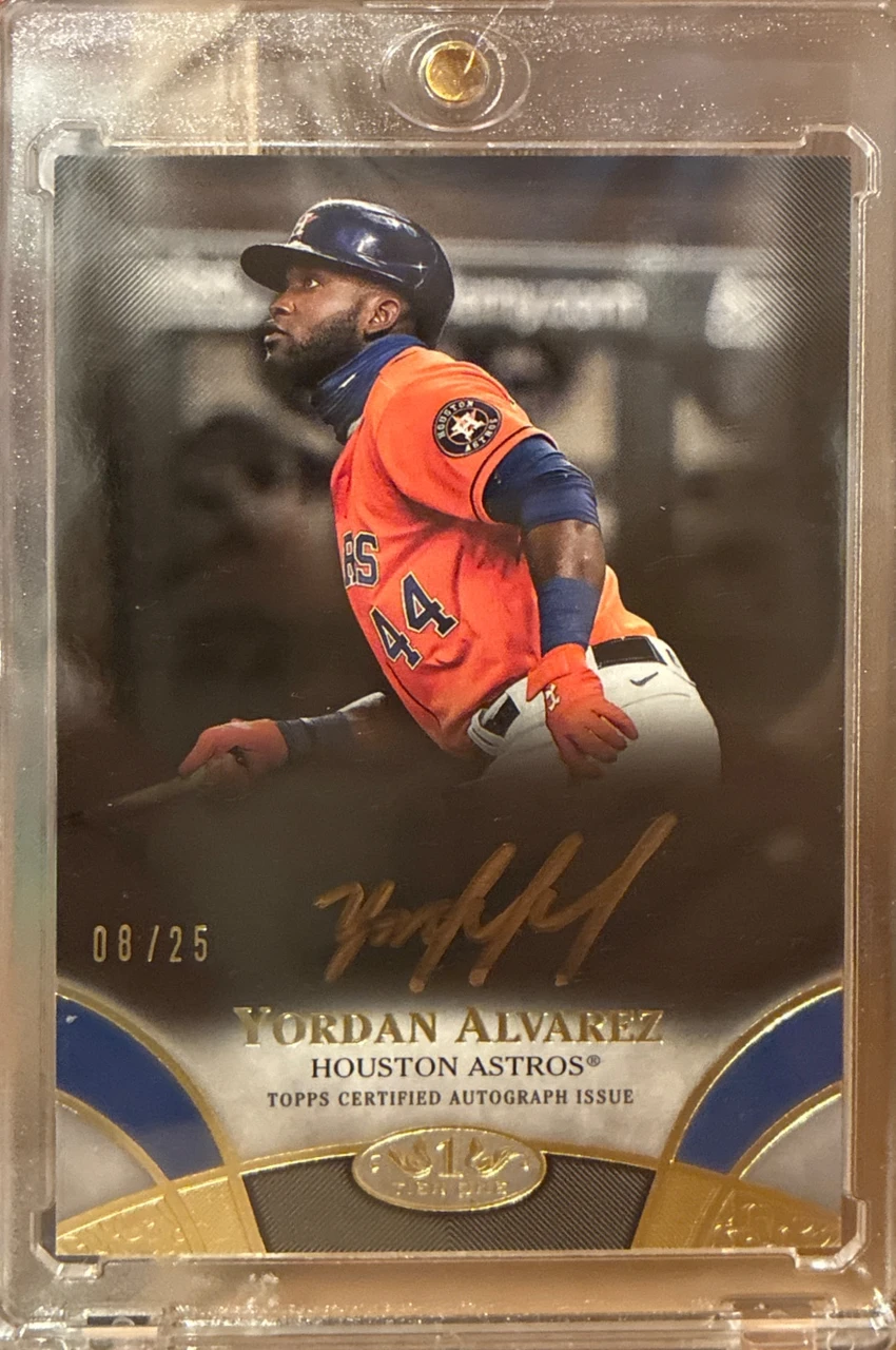 YORDAN ALBAREZ AUTO 08/25
